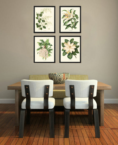 Magnolia White Flowers Botanical Wall Art Prints Set of 4 Beautiful Antique Vintage Blooming Tree Grapes Lily Green Home Decor to Frame AJW