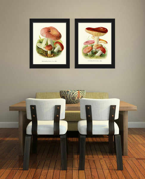 Mushrooms Prints Wall Art Botanical Home Decor Set of 2 Beautiful Colorful Vintage Antique Red Edible Foraging Kitchen Cooking to Frame PDH