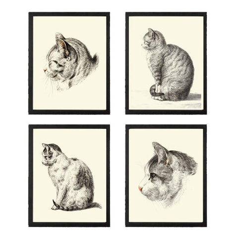 Cat Illustration Drawing Wall Art Print Set of 4 Beautiful Antique Vintage Kitty Kitten Cute Pet Animal Picture Home Room Decor to Frame JB