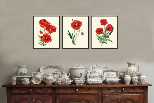 Red Poppy Poppies Botanical Wall Art Decor Set of 3 Prints Beautiful Colorful Green Wildflowers Country Farm Farmhouse Flowers to Frame PRI