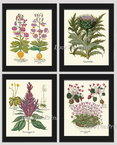 Botanical Prints Wall Art Decor Set of 4 Beautiful Antique Vintage Purple Violet Thistle Lily Flower Wildflower Home Decor to Frame BESL