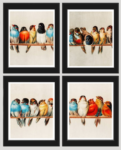 Vintage Bird Wall Art Print Set of 4 Beautiful Antique Vintage Red Cardinal Blue Bird Rustic Farmhouse Country Home Room Decor to Frame CLEA