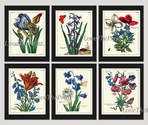 Blue Flowers Botanical Wall Home Decor Art Set of 6 Prints Beautiful Vintage Antique Lily Iris Snowdrop Sprint Summer Interior to Frame NEDE