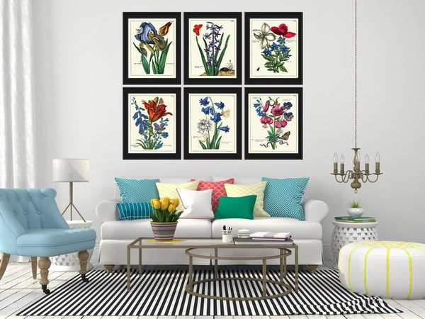 Blue Flowers Botanical Wall Home Decor Art Set of 6 Prints Beautiful Vintage Antique Lily Iris Snowdrop Sprint Summer Interior to Frame NEDE
