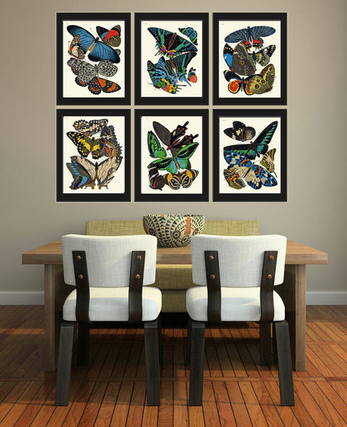 Butterflies Prints Wall Art Set of 6 Beautiful Antique Vintage Blue Yellow Green Butterfly Illustration Picture Home Decor to Frame SCHA