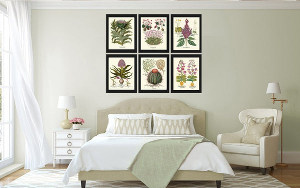 Botanical Wall Home Decor Art Set of 6 Prints Beautiful Antique Vintage Violet Purple Flowers Wildflowers Thistle Cactus Lily to Frame BESL
