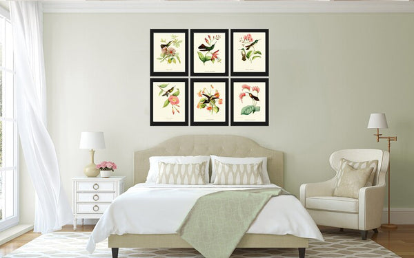 Hummingbird Wall Decor Art Print Set of 6 Prints Antique Vintage Tropical Exotic Birds Flowers Bedroom Dining Room Fireplace to Frame HUMM