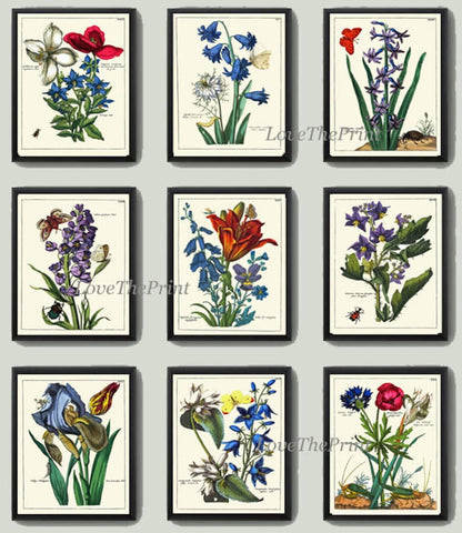 Antique Wildflowers Botanical Wall Art Set of 9 Prints Beautiful Vintage Antique Blue Pink Flowers Butterflies Home Room Decor to Frame NEDE