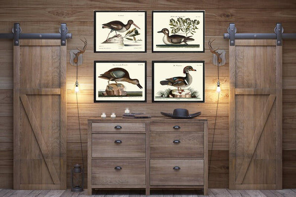 Vintage Duck Bird Wall Art Print Set of 4 Beautiful Antique Lake House Wildlife Birds Farmhouse Cabin Rustic Home Room Decor to Frame MCT