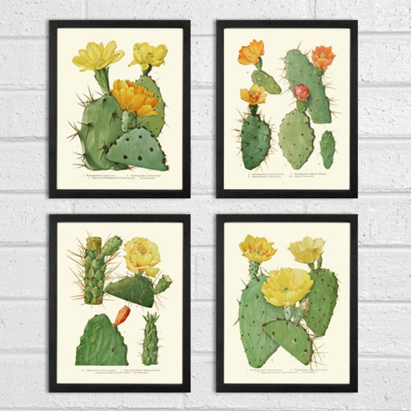 Cactus Botanical Prints Wall Art Set of 4 Beautiful Antique Vintage Tropical Succulent Yellow Red Blooming Cactus Plants Decor to Frame ME