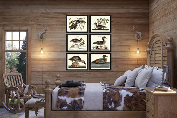 Vintage Duck Bird Prints Wall Art Set of 6 Antique Farmhouse Lake House Country Wild1 Nature Horizontal Orientation Home Decor to Frame MCT