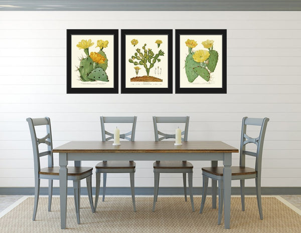 Cactus Botanical Wall Art Decor Set of 3 Prints Beautiful Tropical Garden Flower Succulent Plant Illustration Picture Home Decor to Frame ME