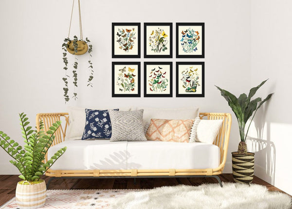 Vintage Butterflies Wall Decor Art Set of 6 Prints Beautiful Antique Blue Yellow Butterflies Chart Picture Home Room Decor to Frame WFK