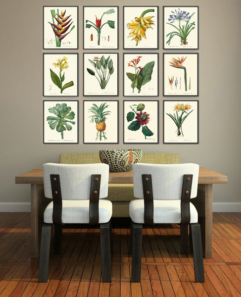 Tropical Botanical Wall Decor Art Set of 12 Prints Beautiful Antique Vintage Interior Design Designer Gallery Colorful Plants to Frame REDT