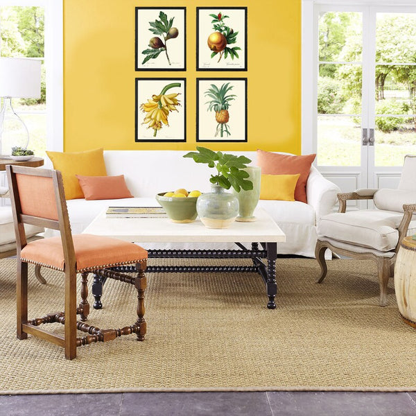 Tropical Fruit Wall Decor Art Prints Set of 4 Beautiful Antique Vintage Fig Pomegranate Banana Pineaple Colorful Home Decor to Frame REDT