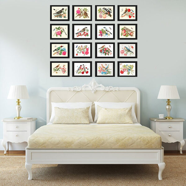 Bird Prints Large Wall Art Gallery Set of 16 Beautiful Birds Flowers Botanical Interior Design Living Room Dining Home Decor to Frame BOT