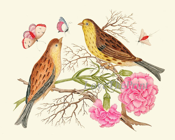 Bird Prints Large Wall Art Gallery Set of 16 Beautiful Birds Flowers Botanical Interior Design Living Room Dining Home Decor to Frame BOT