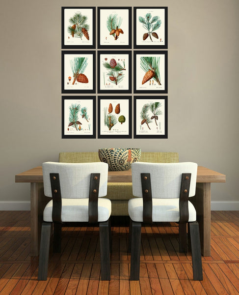 Pinecone Botanical Wall Art Set of 9 Prints Beautiful Vintage Antique Conifer Pine Cone Tree Woodland Cabin Home Room Decor to Frame TDA