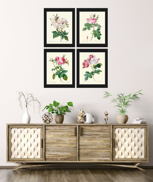 Botanical Print Set French Roses Wall Art Decor Set of 4 Prints Beautiful Antique Vintage White Pink Flowers Garden Home Decor to Frame LRR