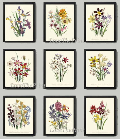 Wildflowers Botanical Wall Art Set of 9 Prints Beautiful Vintage Antique Pink White Yellow Blue Flowers Countryside Home Decor to Frame LEB