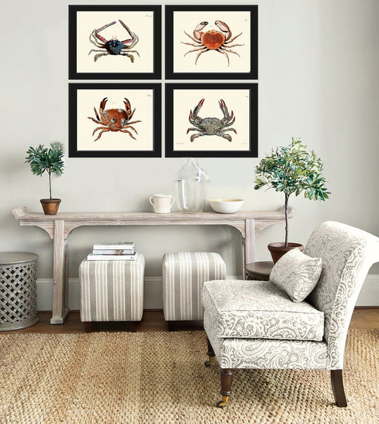 Vintage Crab Prints Wall Art Set of 4 Beautiful Blue Red Crabs Sea Ocean Nautical Marine Nature Science Beach House Home Decor to Frame CRAB