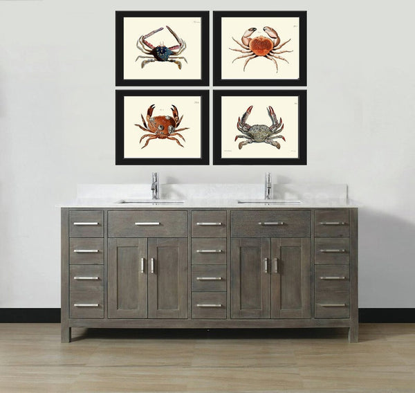 Vintage Crab Prints Wall Art Set of 4 Beautiful Blue Red Crabs Sea Ocean Nautical Marine Nature Science Beach House Home Decor to Frame CRAB