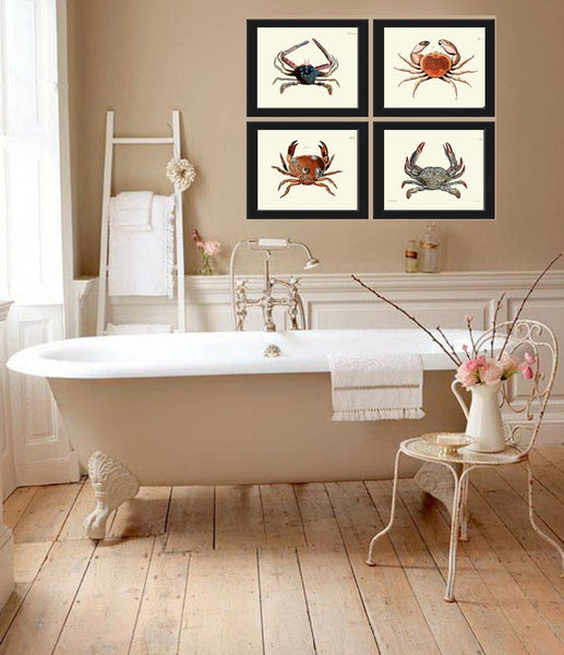 Vintage Crab Prints Wall Art Set of 4 Beautiful Blue Red Crabs Sea Ocean Nautical Marine Nature Science Beach House Home Decor to Frame CRAB