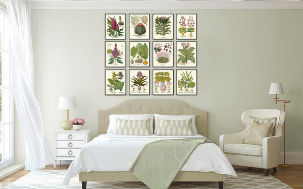 Botanical Decor Wall Art Set of 12 Prints Beautiful Vintage Antique Purple Violet Yellow Thistle Cactus Wildflowers Home Decor to Frame BESL