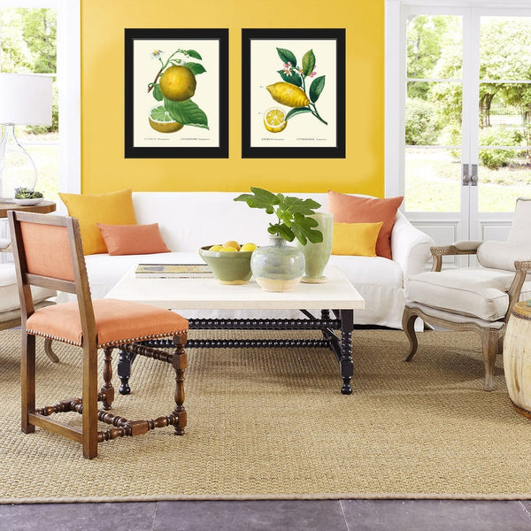 Citrus Prints Botanical Wall Art Set of 2 Beautiful Vintage Antique Grapefruit Lemon Dining Room Kitchen Living Home Decor to Frame TDA
