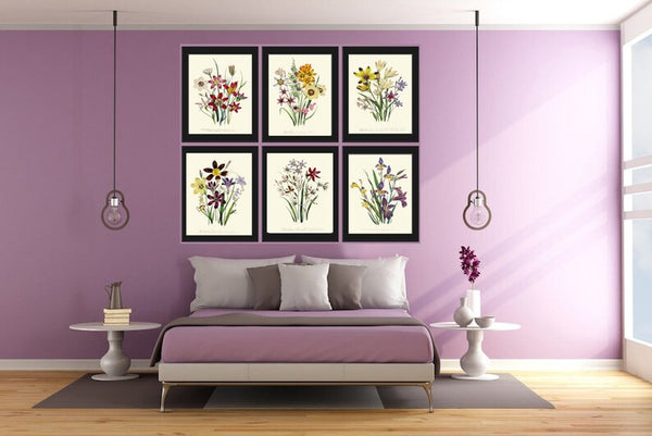 Botanical Prints Wall Decor Art Set of 6 Beautiful Vintage Antique Wildflowers Country Field Pretty Colorful Floral Home Decor to Frame LEB