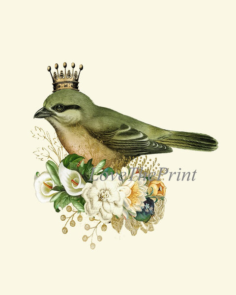 Crown Birds Wall Art Print Set of 4 Beautiful Whimsical Pretty Fairy Flower Queen King Bird Watercolor Painting Home Room Decor to Frame DC