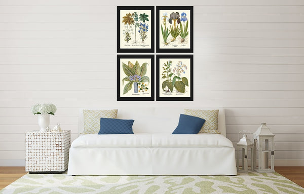 Botanical Wall Art Set of 4 Prints Beautiful Antique Vintage Blue Flowers Hellebores Iris Green Leaf Natural Nature Deocor to Frame BESL
