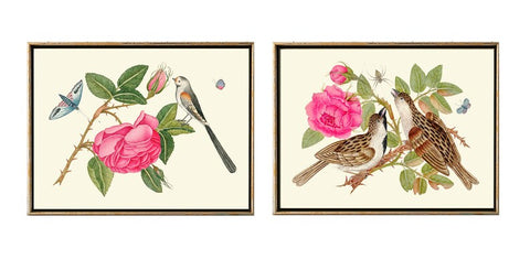 Birds and Roses Botanical Wall Art Decor Prints Set of 2 Beautiful Antique Pink Flowers Dining Living Room Home Decoration to Frame BOT