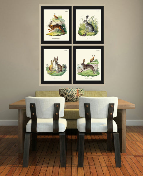Bunny Wall Art Print Set of 4 Beautiful Antique Vintage Rabbit Farm Animal Pet Farmhouse Cute Baby Rabbits Home Room Decor to Frame BUNNY