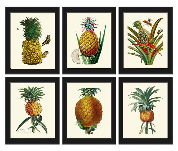 Pineapple Prints Tropical Fruit Decor Wall Art Set of 6 Beautiful Botanical Kitchen Dining Room Garden Plants Home Room Decor to Frame PINA