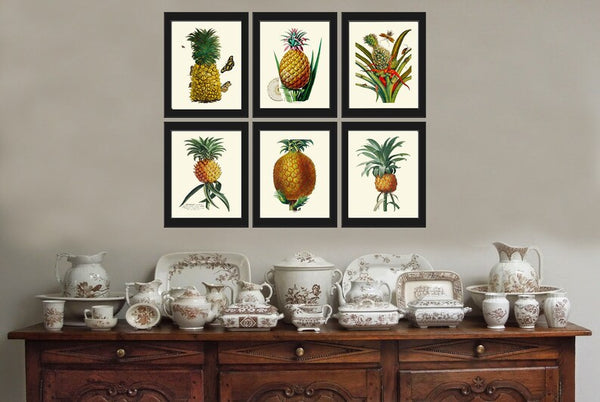Pineapple Prints Tropical Fruit Decor Wall Art Set of 6 Beautiful Botanical Kitchen Dining Room Garden Plants Home Room Decor to Frame PINA