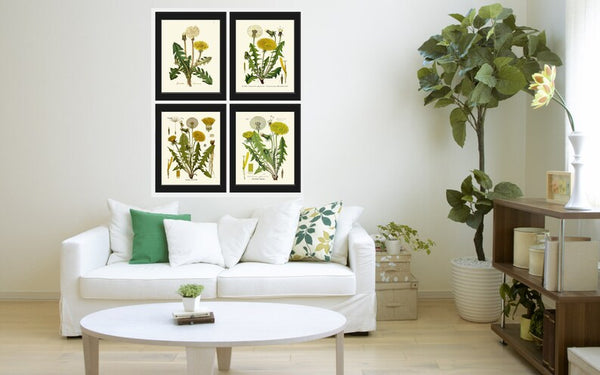 Dandelion Botanical Wall Art Set of4 Prints Beautiful Antique Vintage Wildflowers Country Farmhouse Flower Home Room Decor to Frame DAND