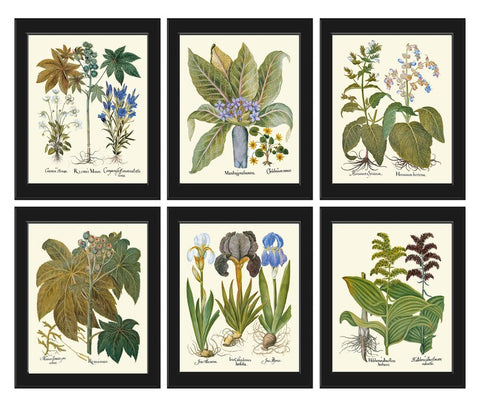 Botanical Print Set, Botanical Prints, Art Prints, Giclee, Blue Botanical Prints, Gallery Art, Wall Art, Blue Flower Prints to Frame BESL