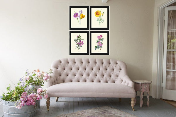 Wildflowers Prints Botanical Wall Art Set of 4 Beautiful Vintage Crocus Sweet Briar Eschscholzia Mallow Pink Yellow Flowers to Frame HULM