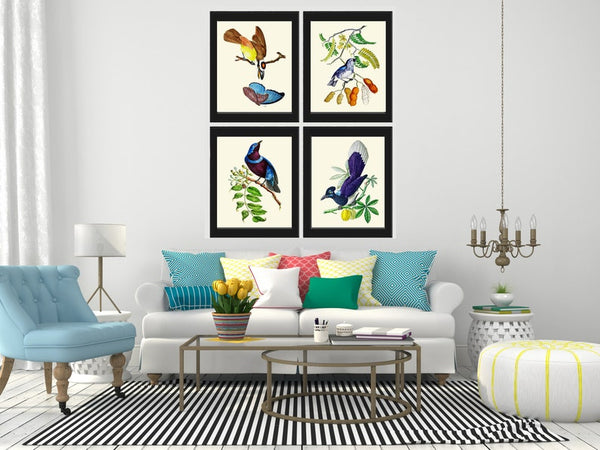 Blue Bird Butterfly Wall Art Print Set of 4 Beautiful Vintage Antique Birds Illustration Watercolor Botanical Fruit Trees Decor to Frame OBB