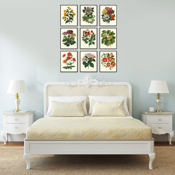 Botanical Wall Decor Art Set of 9 Prints Beautiful Vintage Antique Azalea Passion Fruit Trumpet Flower Illustration Pictures to Frame WITT