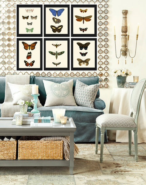 Vintage Butterflies Prints Wall Art Set of 6 Beautiful Antique Office Library Study Playroom Reading Dining Room Home Decor to Frame DORB