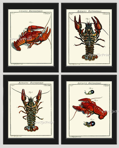 Lobster Wall Art Set of 4 Prints Beautiful Vintage Antique Blue Red Sea Ocean Nautical Marine Nature Science Beach House Home Decor LOBS