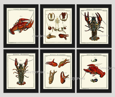 Lobster Prints Wall Art Set of 6 Beautiful Antique Vintage Red Blue Sea Ocean Marine Coastal Nautical Beach House Home Decor to Frame LOBS