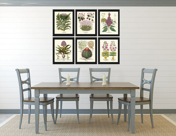 Botanical Wall Home Decor Art Set of 6 Prints Beautiful Antique Vintage Violet Purple Flowers Wildflowers Thistle Cactus Lily to Frame BESL