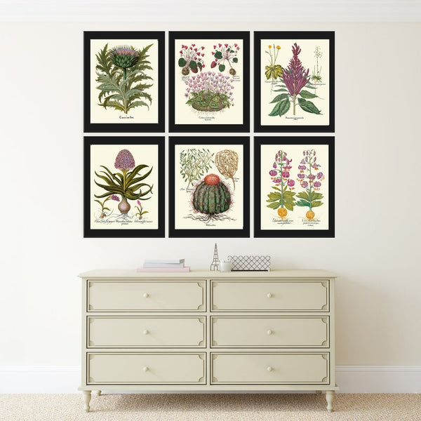 Botanical Wall Home Decor Art Set of 6 Prints Beautiful Antique Vintage Violet Purple Flowers Wildflowers Thistle Cactus Lily to Frame BESL