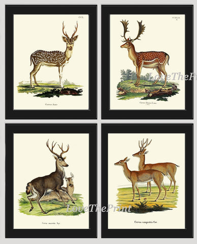 Vintage Deer Wall Art Set of 4 Prints Beautiful Antique Elk Moose Deer Rustic Cabin Decoration Forest Animals Home Room Decor to Frame DEER