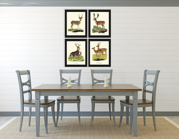 Vintage Deer Wall Art Set of 4 Prints Beautiful Antique Elk Moose Deer Rustic Cabin Decoration Forest Animals Home Room Decor to Frame DEER