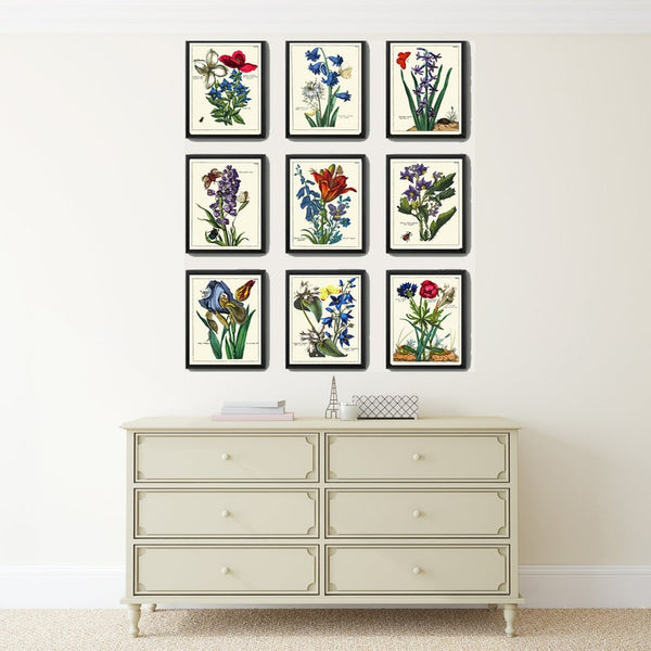 Antique Wildflowers Botanical Wall Art Set of 9 Prints Beautiful Vintage Antique Blue Pink Flowers Butterflies Home Room Decor to Frame NEDE