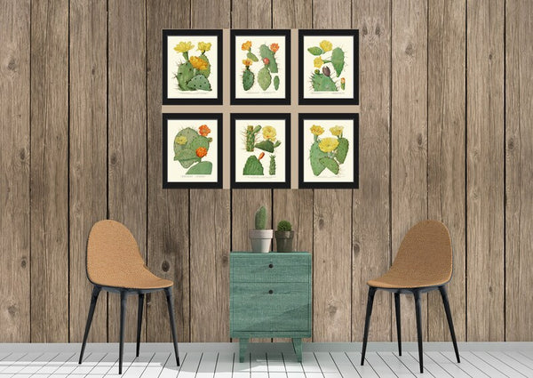 Cactus Botanical Wall Decor Art Set of 6 Prints Beautiful Antique Vintage Colorful Blooming Tropical Garden Flowers Succulents to Frame ME